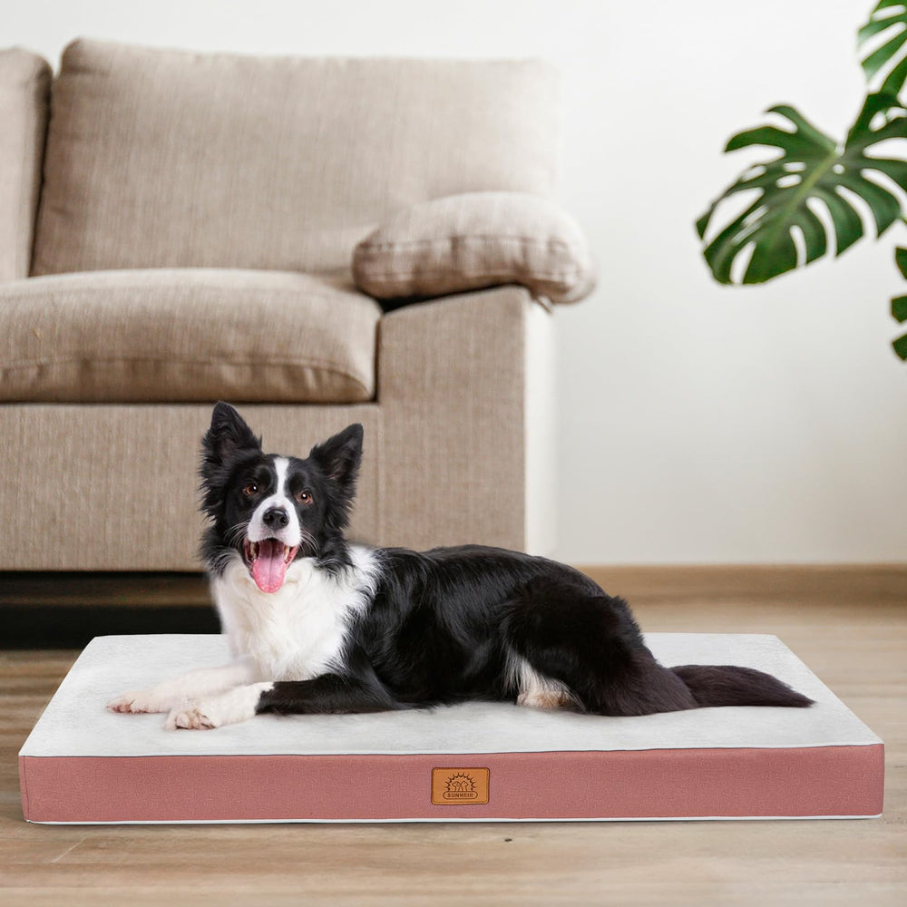 Sunheir orthopedic dog bed with plush Sherpa top for cozy lounging