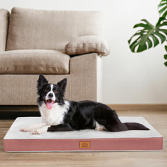 Sunheir orthopedic dog bed with plush Sherpa top for cozy lounging