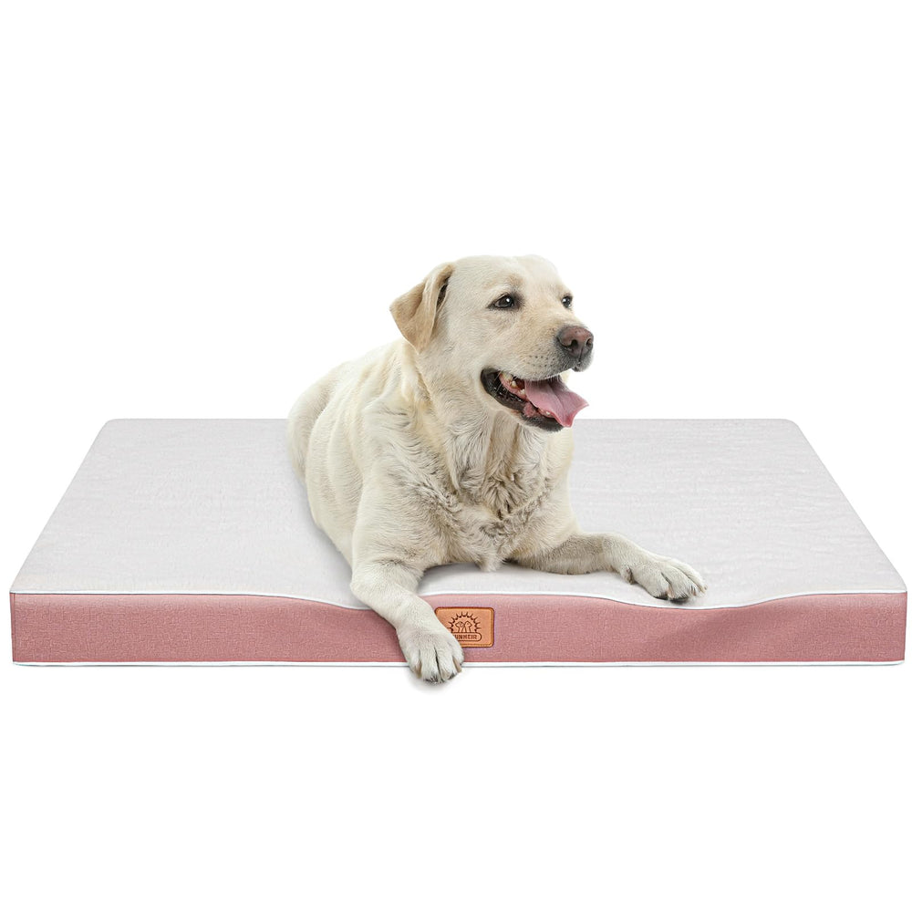Sunheir dog bed arrives compressed and expands to full size