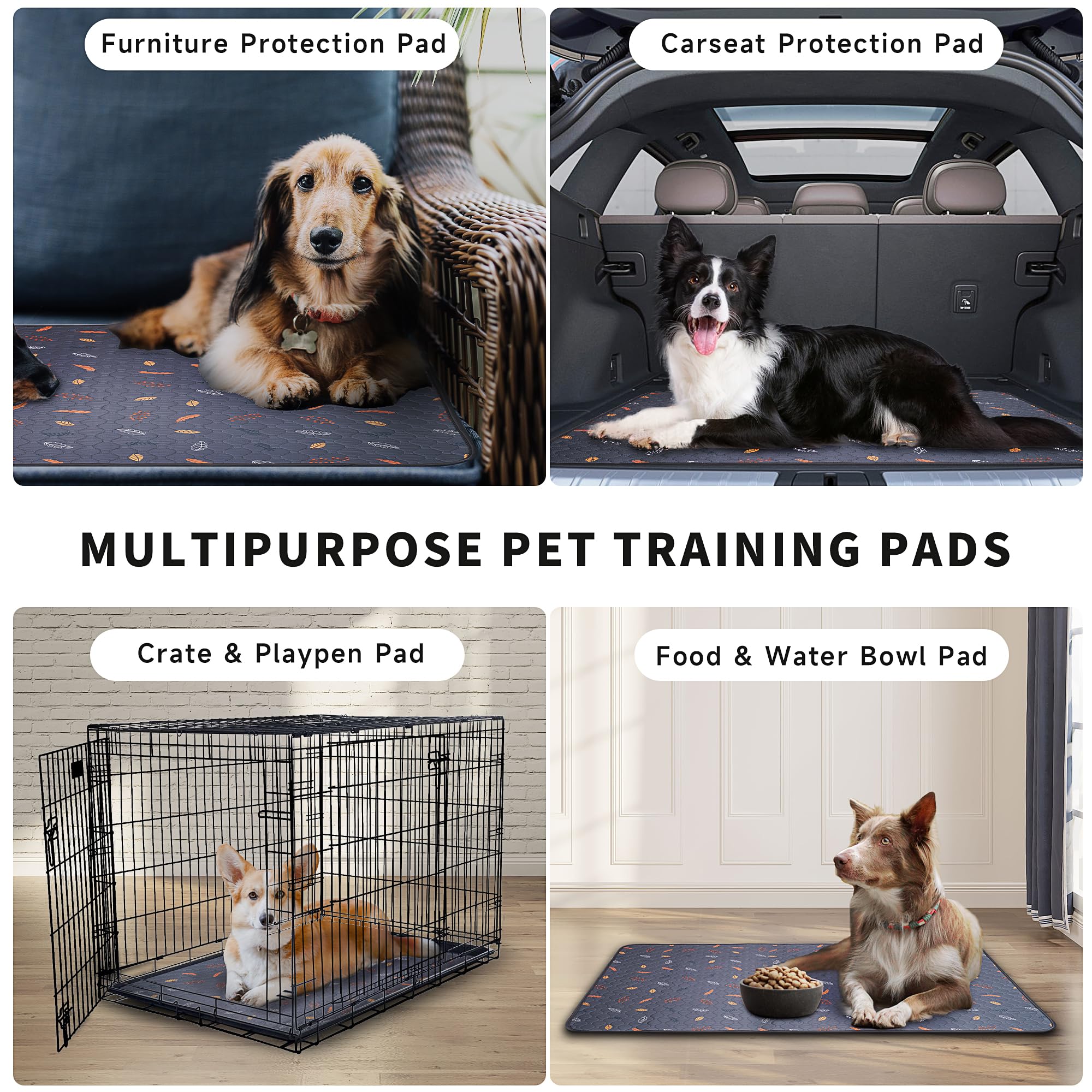 Sunheir pee pads in crate setup protect crates and surrounding floors.