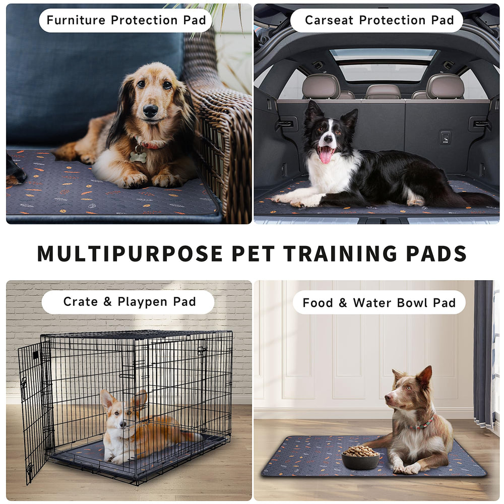 Sunheir pee pads in crate setup protect crates and surrounding floors.