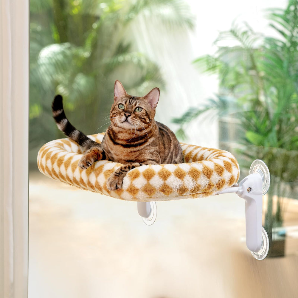 Sunhoo Window Bed fold-flat design for compact storage.