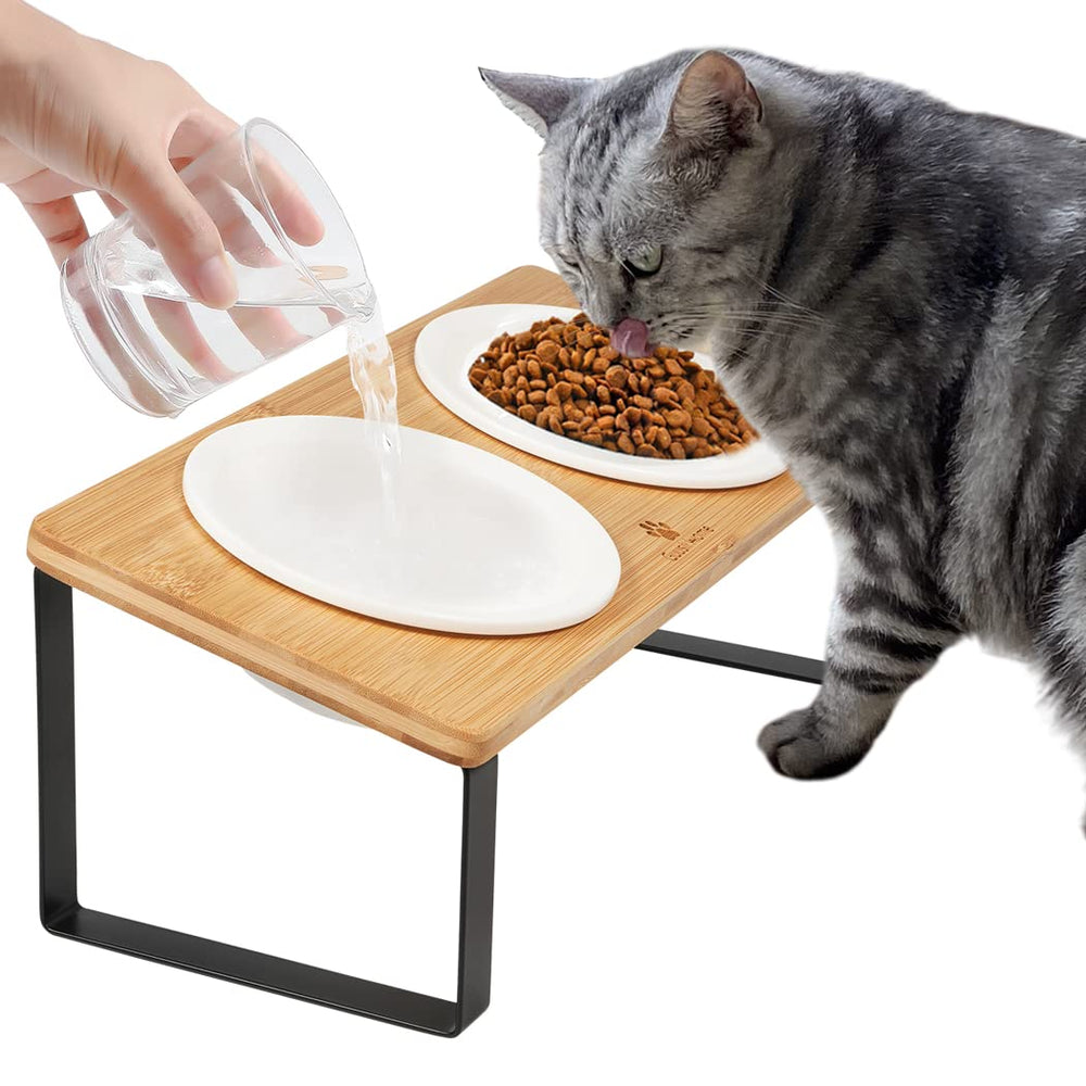 Sunhoo ceramic elevated bowls on tilted stand reduce mess during meals for indoor cats