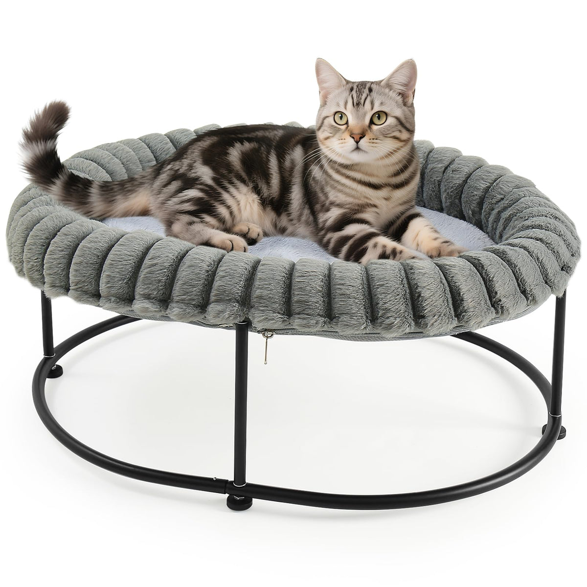 Sunhoo elevated cat bed frame demonstrates sturdy steel construction for durable lounging.