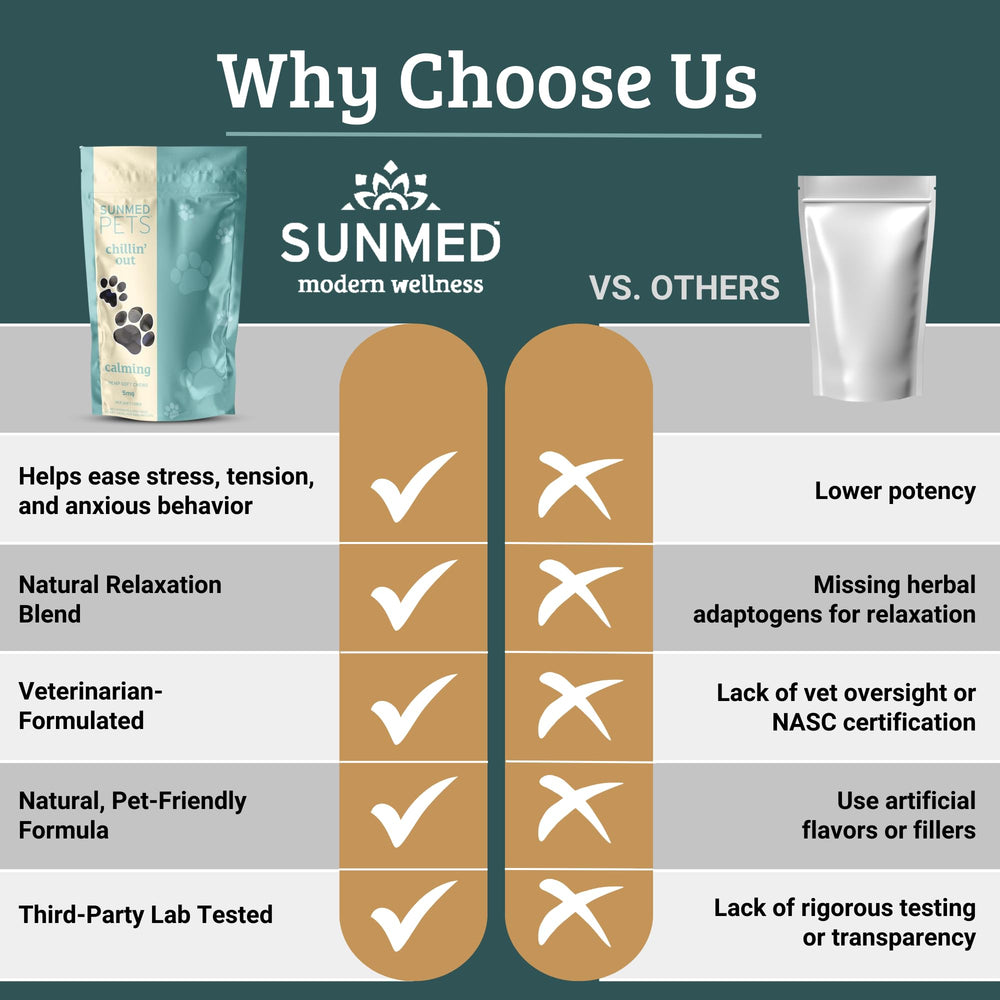 SUNMED vet-visit ready image shows calm demeanor during appointments.
