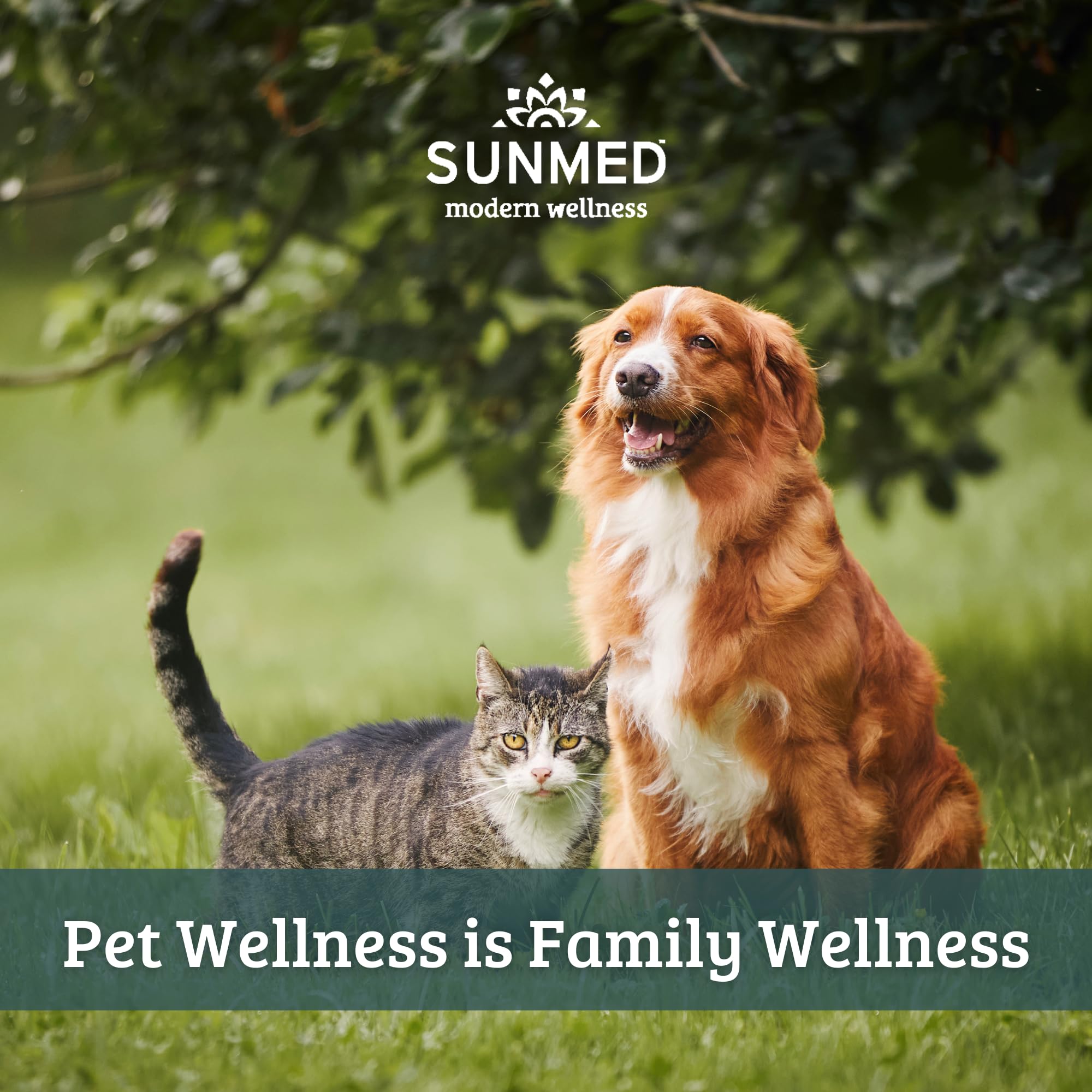 Dogs of all sizes benefit from Sunmed Movin' Easy chews during outdoor play.