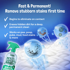 Sunny & Honey dog urine stain removal on couch using enzyme cleaner