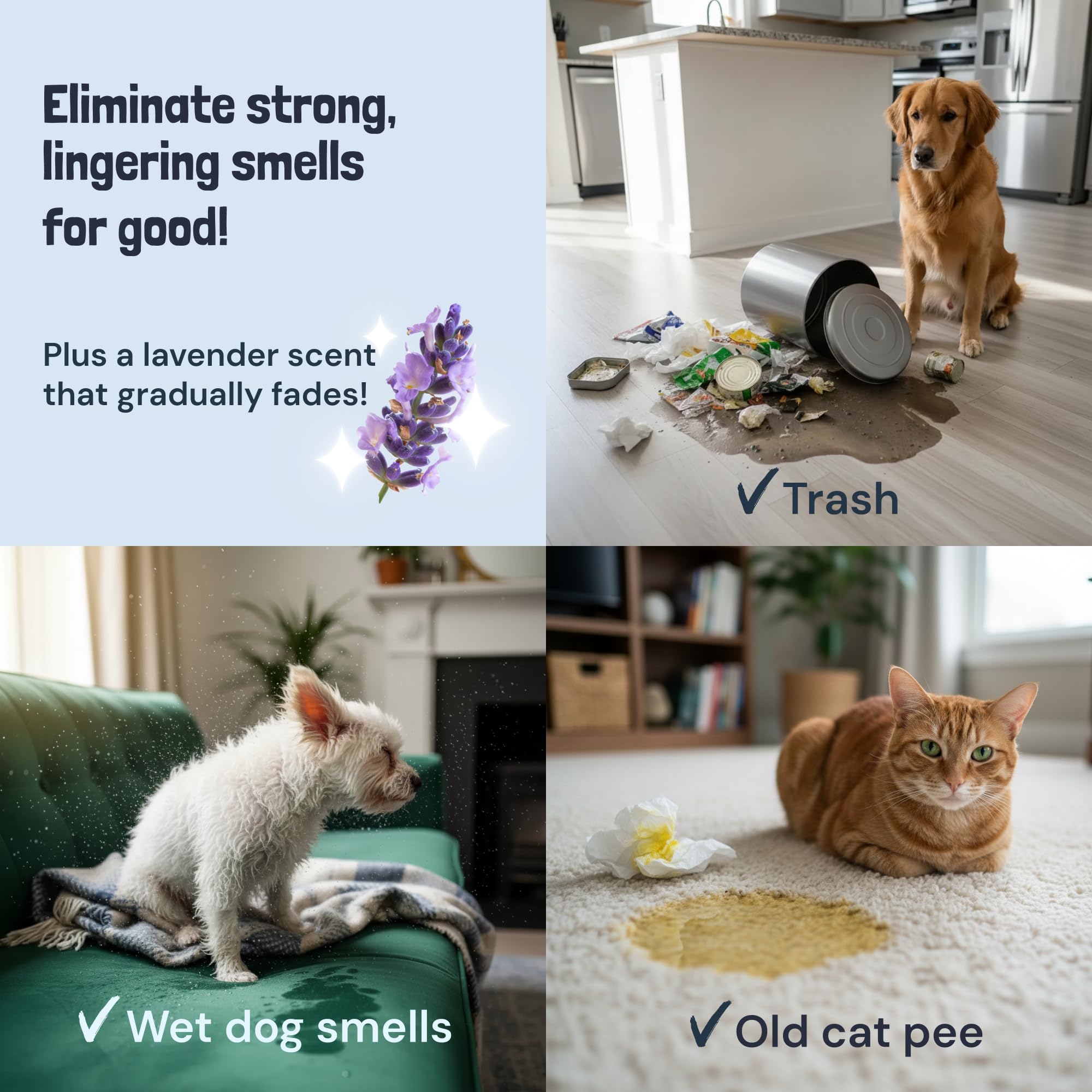 Sunny & Honey multi-surface-cleaning illustrates carpet and furniture use.