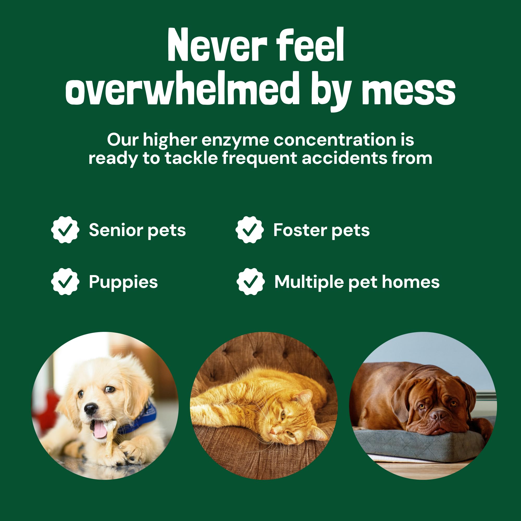 Sunny & Honey Turbo Hardwood floor-safe cleaner lifts grime without residue