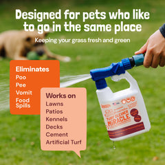 Sunny & Honey yard sprayer ready for quick outdoor refresh
