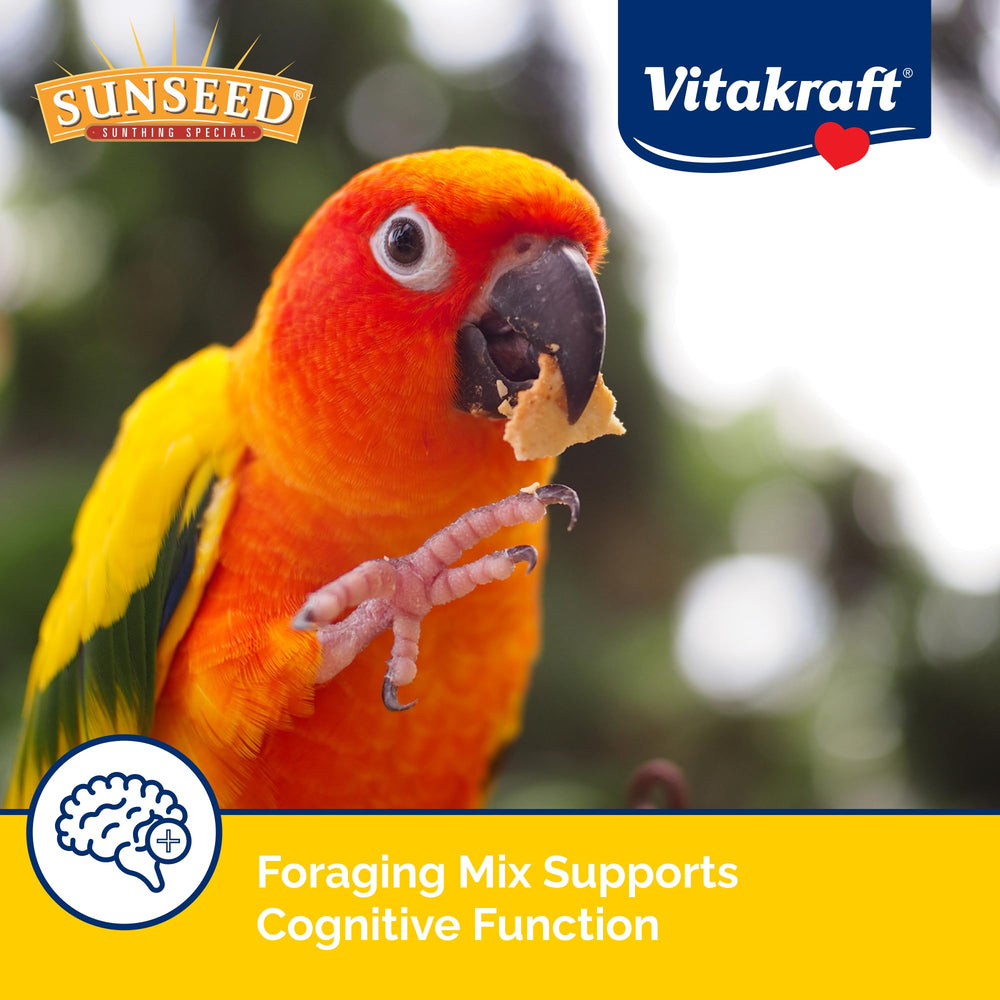 Conure feathers appear glossy after Vita Prima meal and proper hydration.
