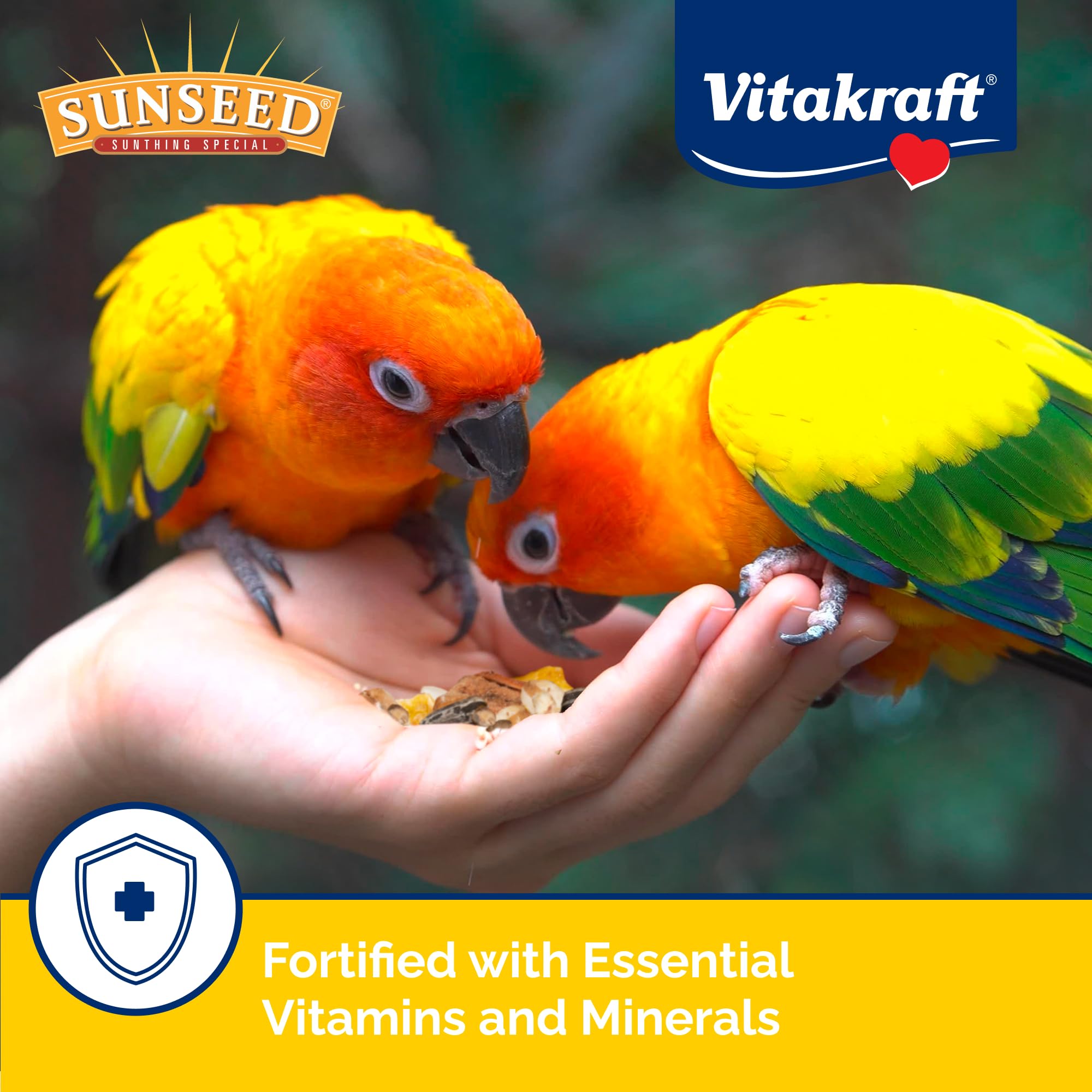 3 lb Vita Prima packaging highlight for convenient, long-lasting conure feeding.