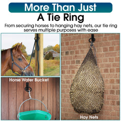 Sunset Valley Metalcraft tie ring mounted in barn stall demonstrates easy tethering setup.