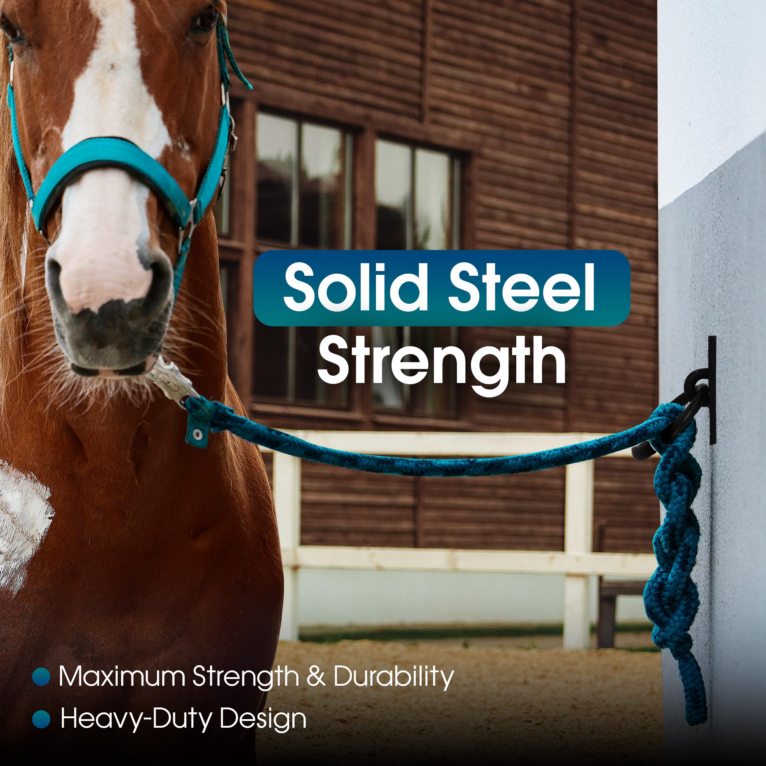 Sunset Valley Metalcraft horse tie ring with pre-drilled holes for quick barn installation.