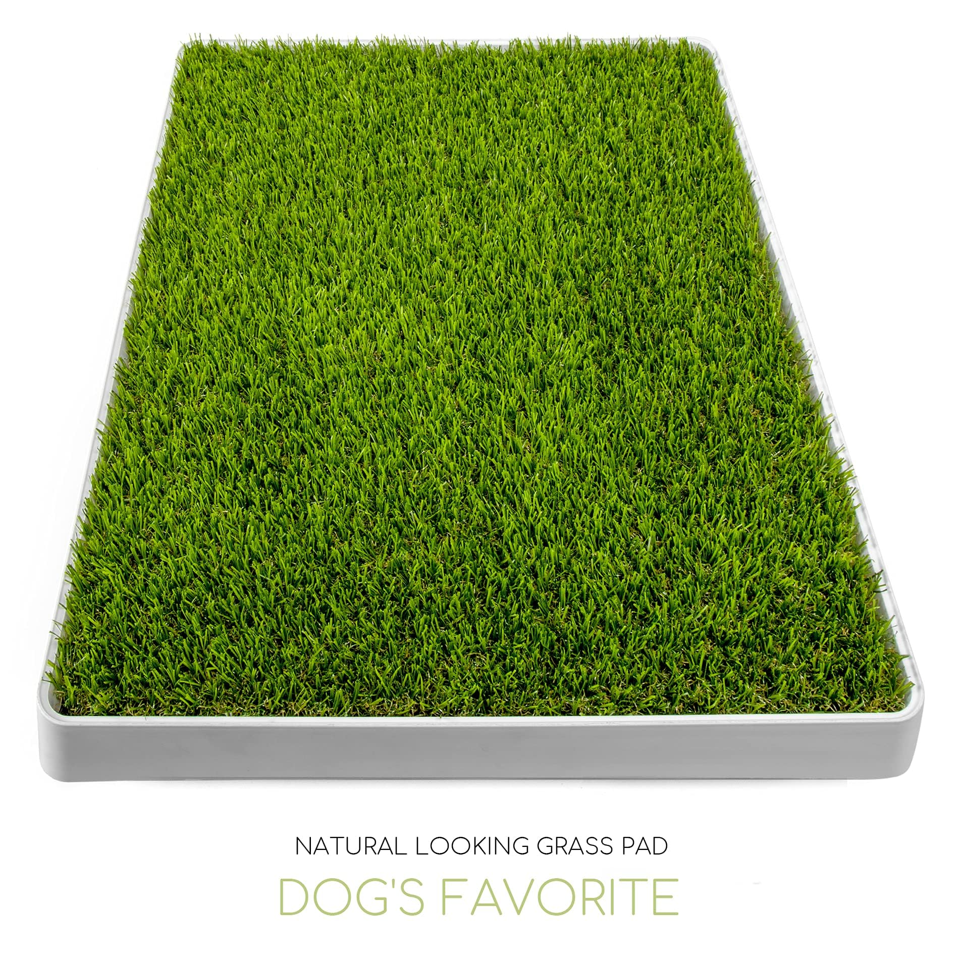 SunTurf indoor potty grass lawn helps puppies learn indoor toilet