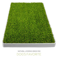 SunTurf indoor potty grass lawn helps puppies learn indoor toilet