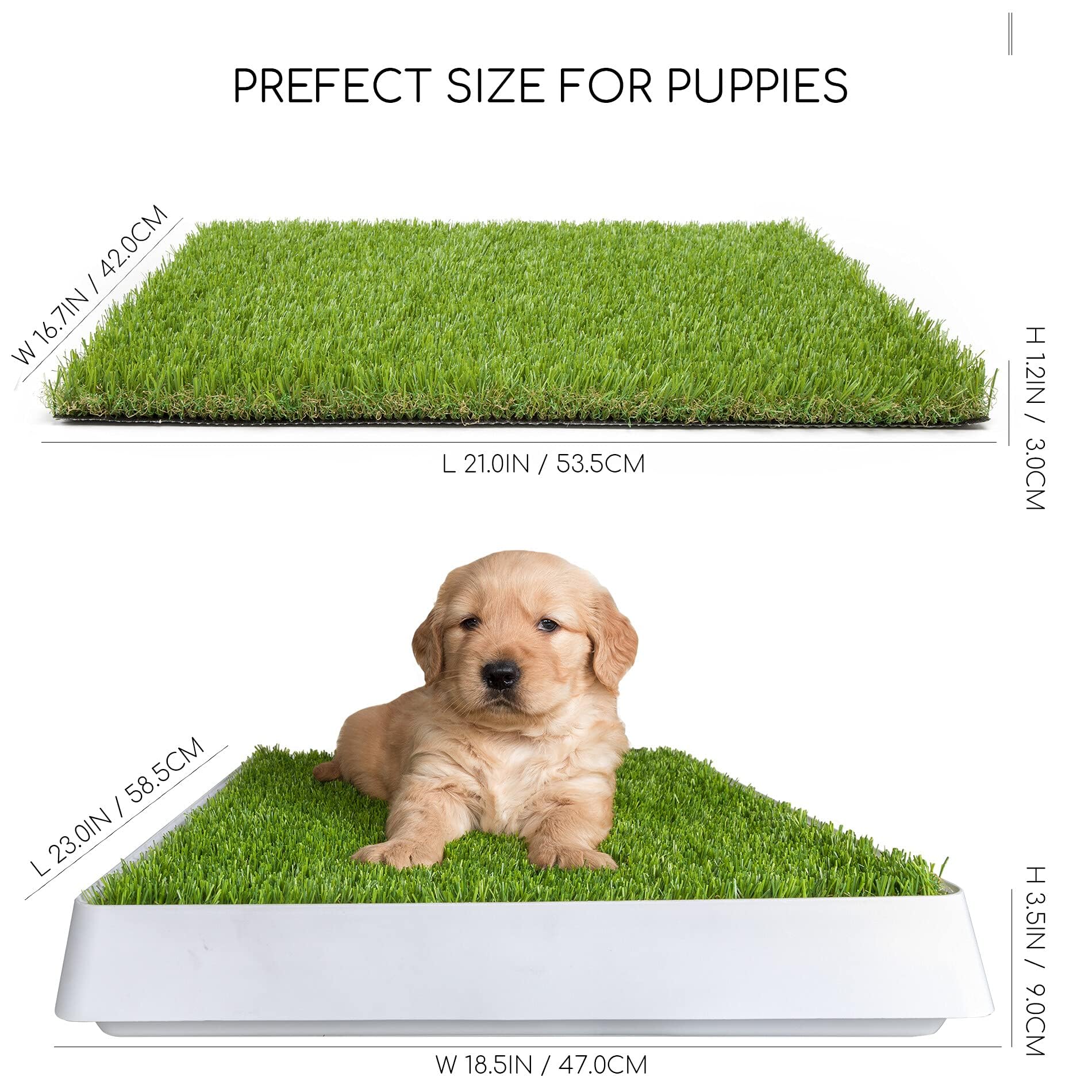 SunTurf puppy potty with pee pad holder keeps messes off floors
