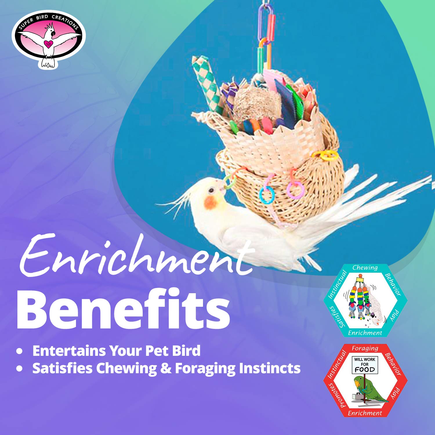 Super Bird Creations SB669 crunchy-textures basket stimulates curiosity and interaction.