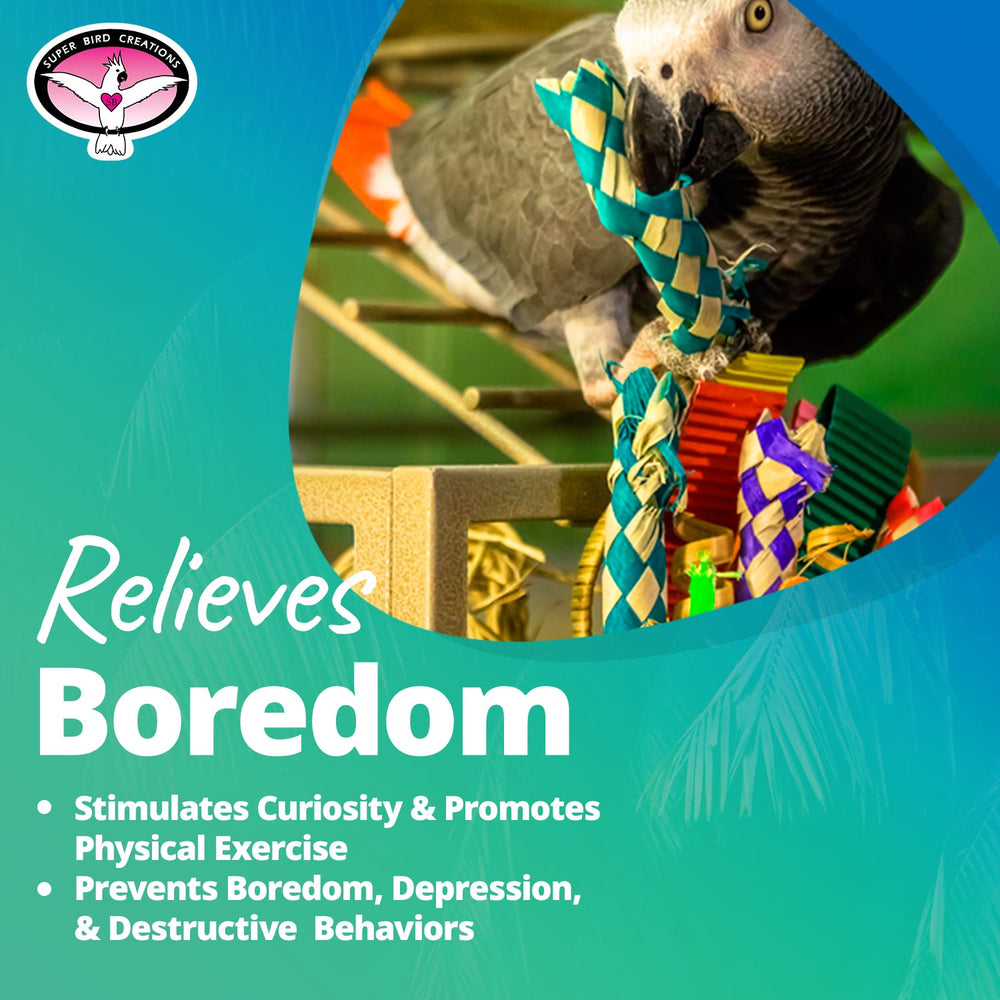 Super Bird Creations SB669 safe, USA-assembled design for pet birds.