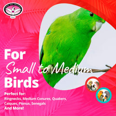 SB881 Seagrass Tent see-through shelter lets birds peek out safely during play.