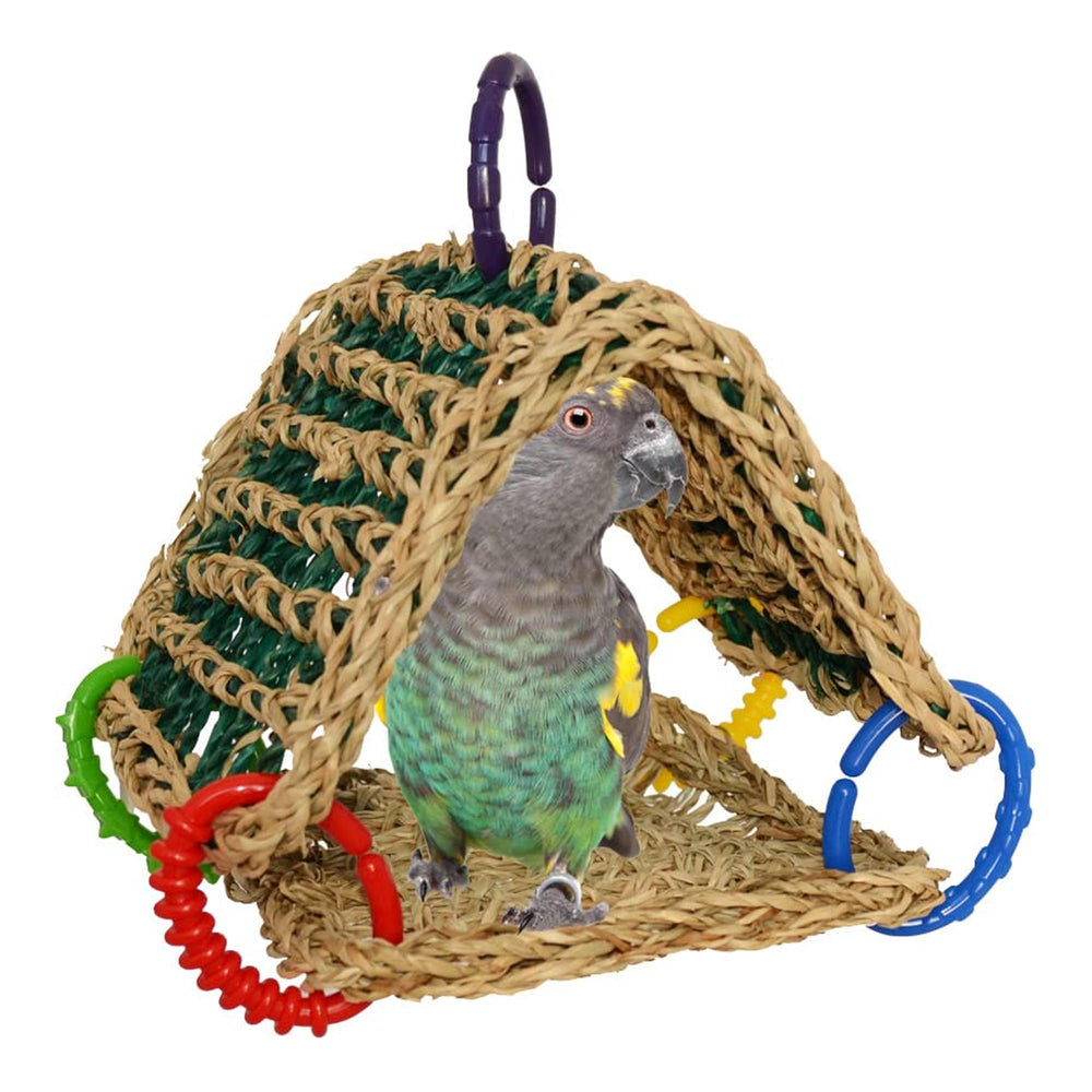 SB881 Seagrass Tent setup showcases compact, perch-friendly design for small to medium birds.