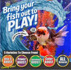 Super Cichlids astaxanthin-enriched blackworms close-up enhances color naturally