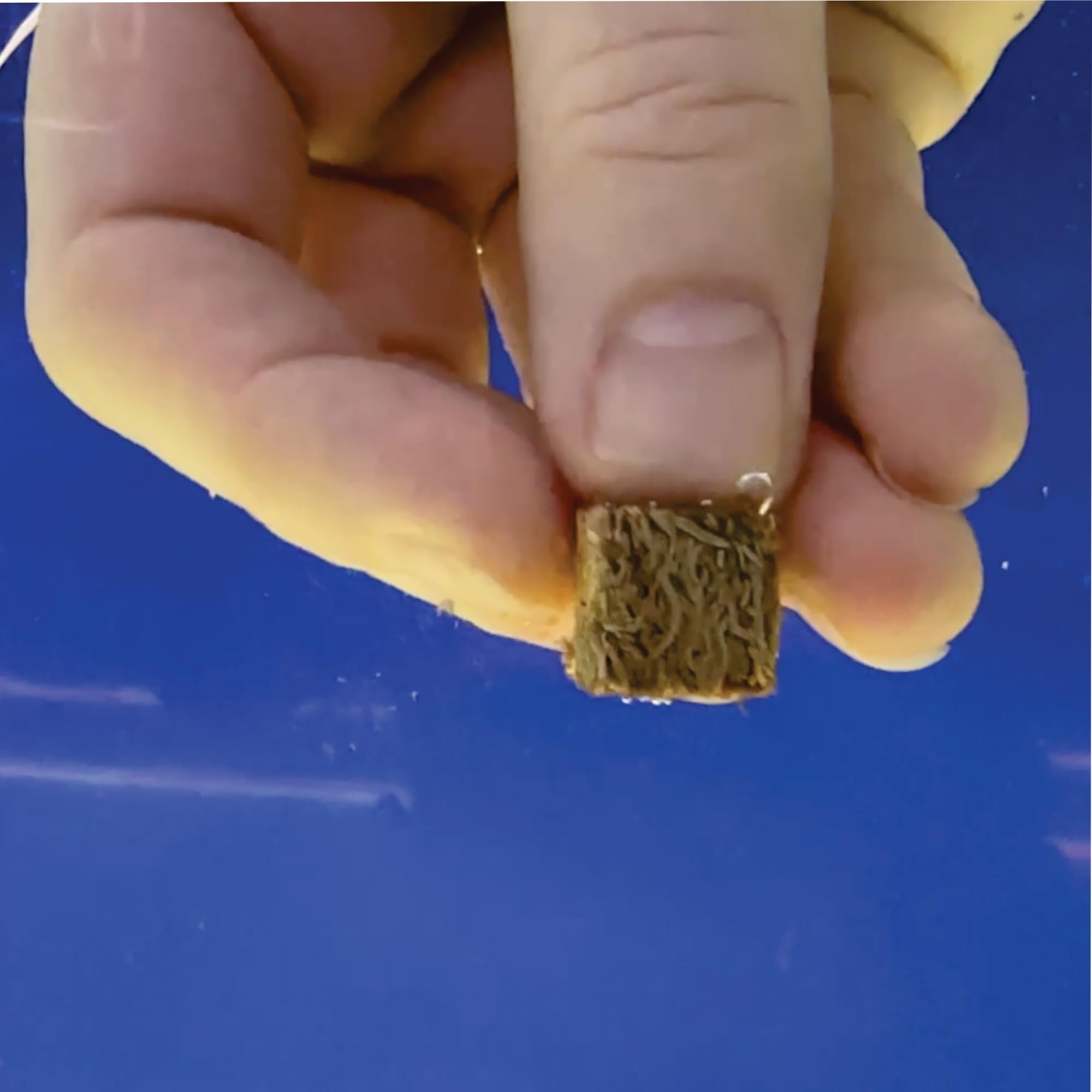 Super Cichlids nutrition-dense blackworms provide high protein without artificial additives