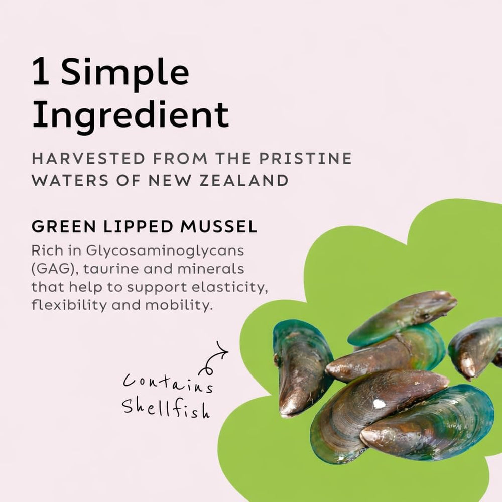 Joint Power label close-up displaying clean NZ mussel source on the packaging.