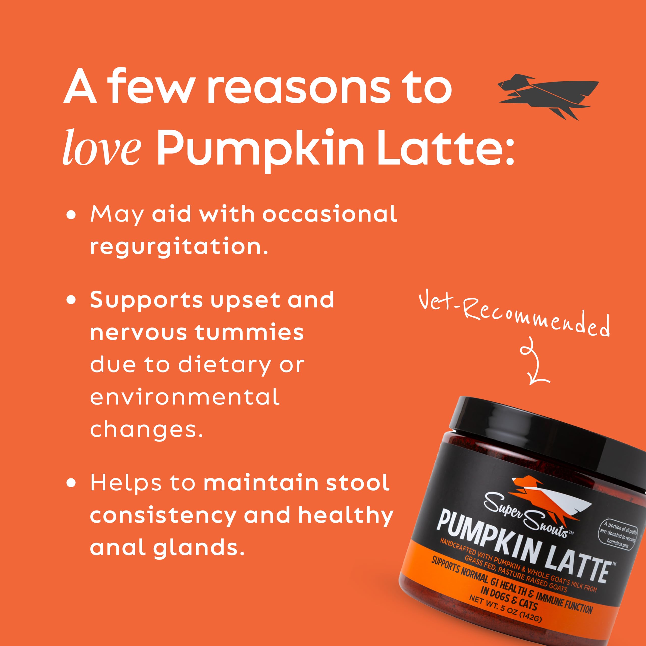 Serving scoop for easy dosing and dietary transitions with Pumpkin Latte.