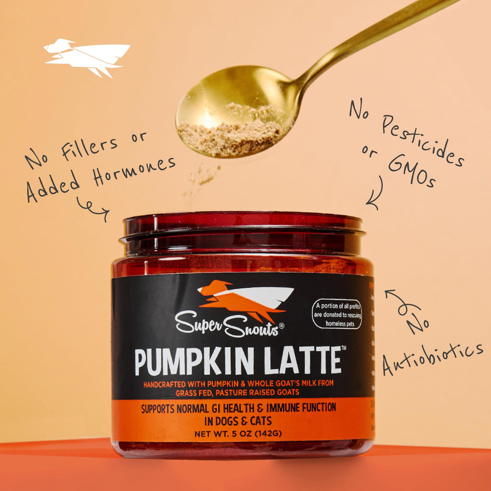 5-ounce tub of Pumpkin Latte ready for everyday use.