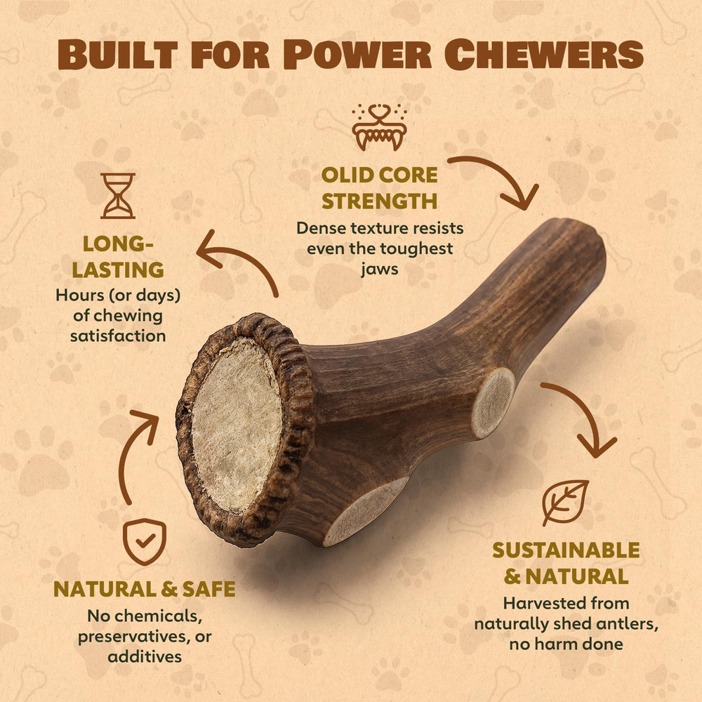 Smooth, sanded edges on Superior Antler elk chew for safety