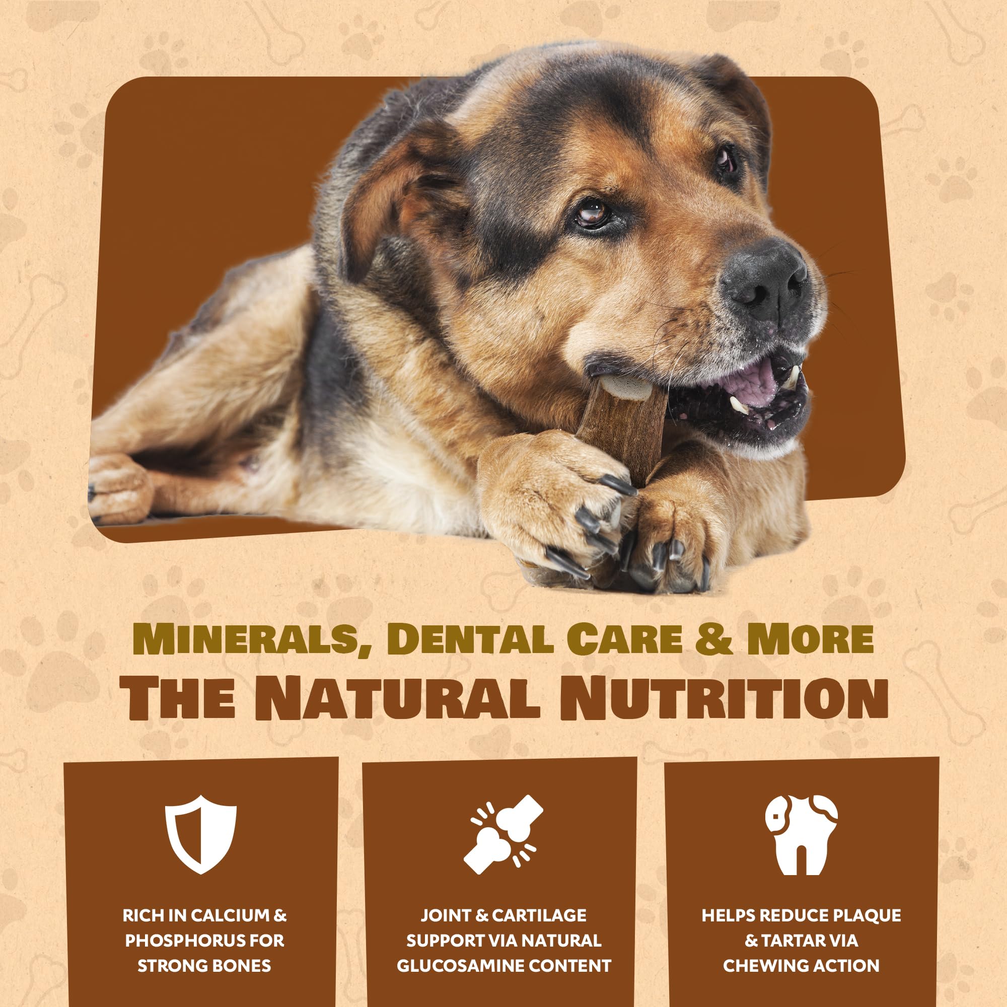 Long-lasting elk chew keeps large dogs engaged for weeks
