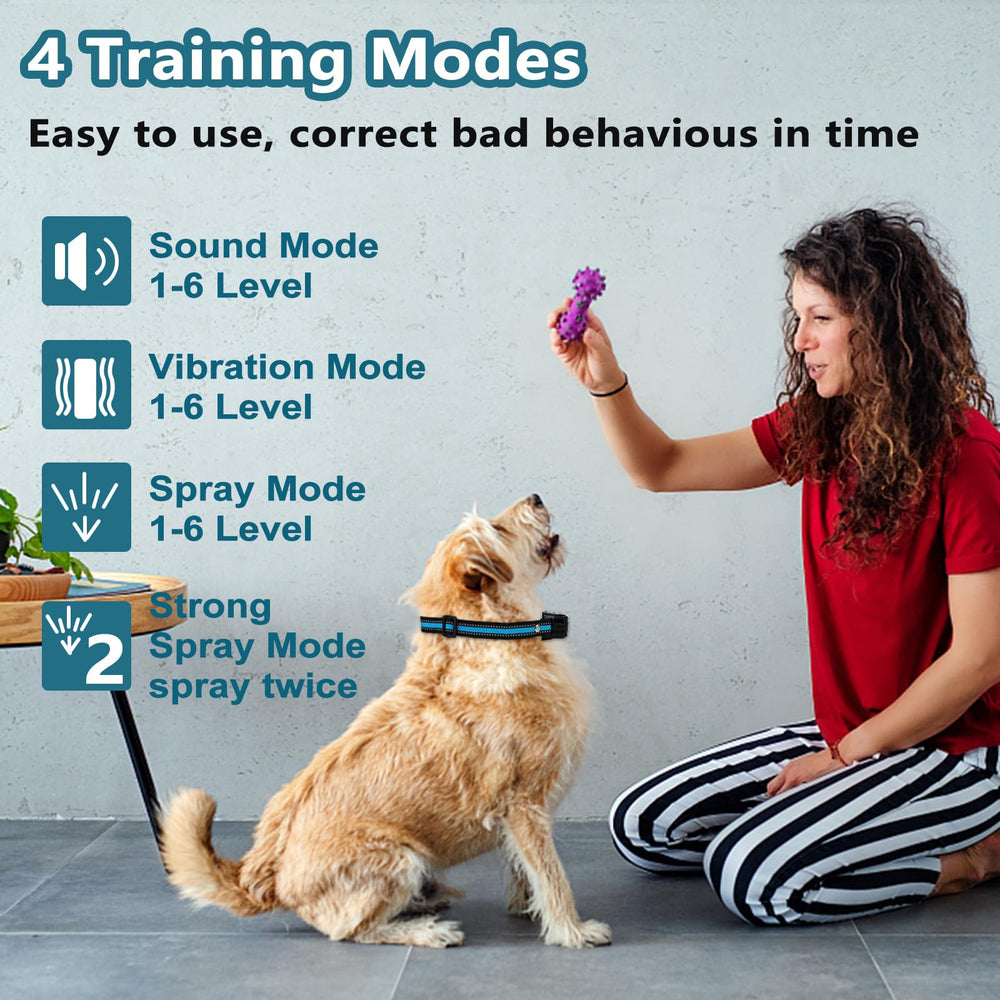 SUPERNIGHT remote control for dog training with clear display.