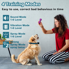 SUPERNIGHT remote control for dog training with clear display.