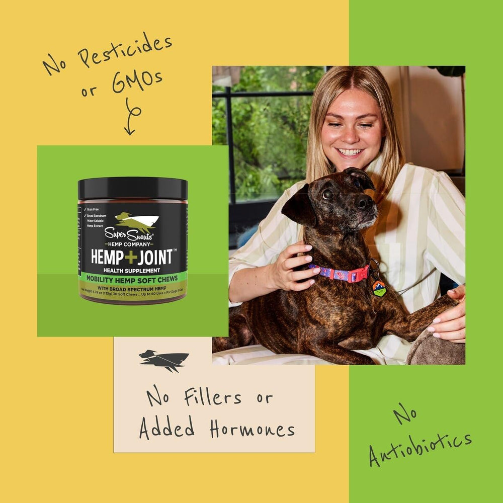 Super Snouts pet lifestyle scene with a calm, joint-supported pet