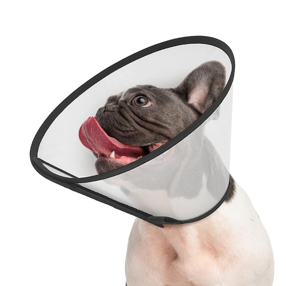 Supet adjustable dog cone collar shown from the front for secure recovery wear.