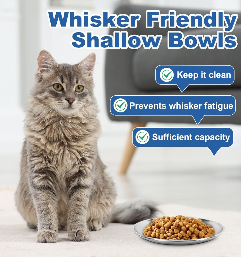 Supet indoor feeding solution suitable for multi-cat homes
