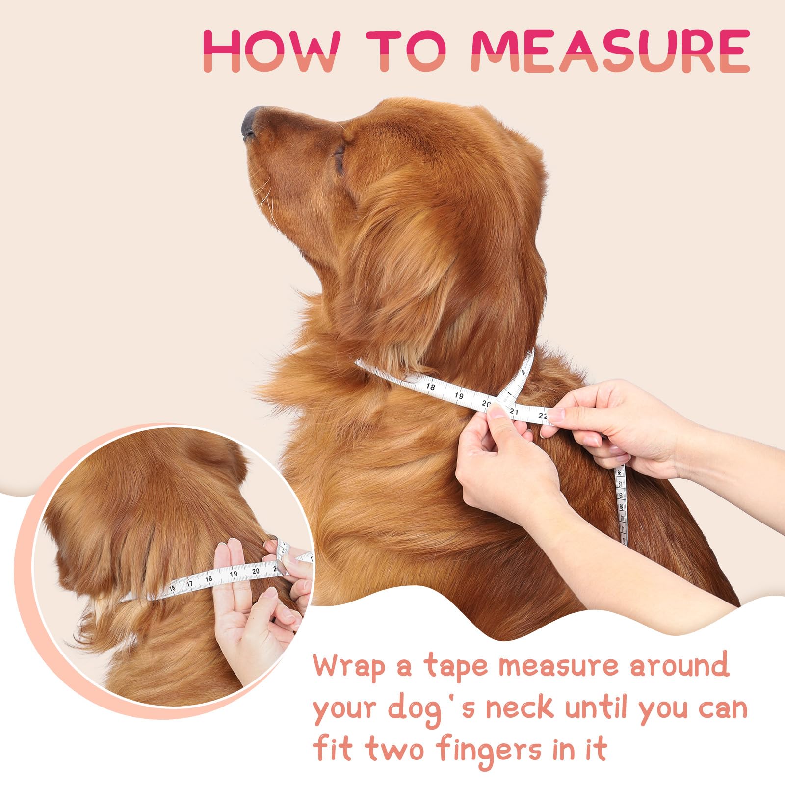 Supet cone fit guide helps measure neck for secure wear.