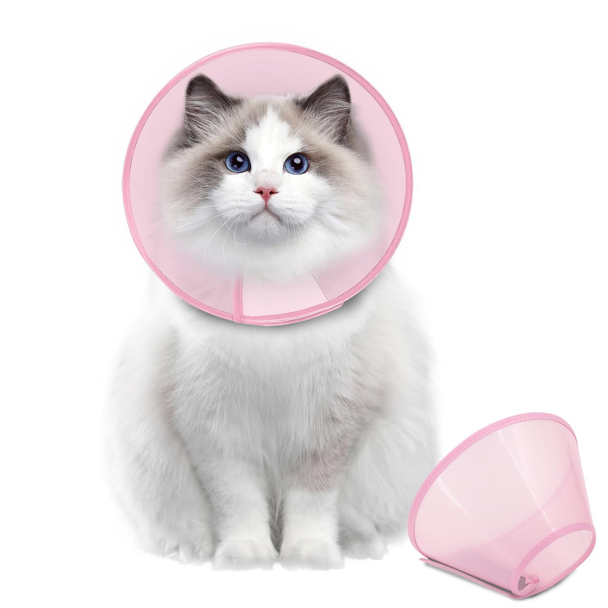 Supet dog cone collar adjustable for a customizable fit during recovery