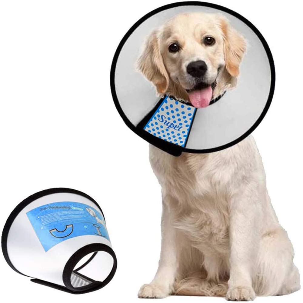 Supet dog cone collar adjustable for secure recovery after surgery.