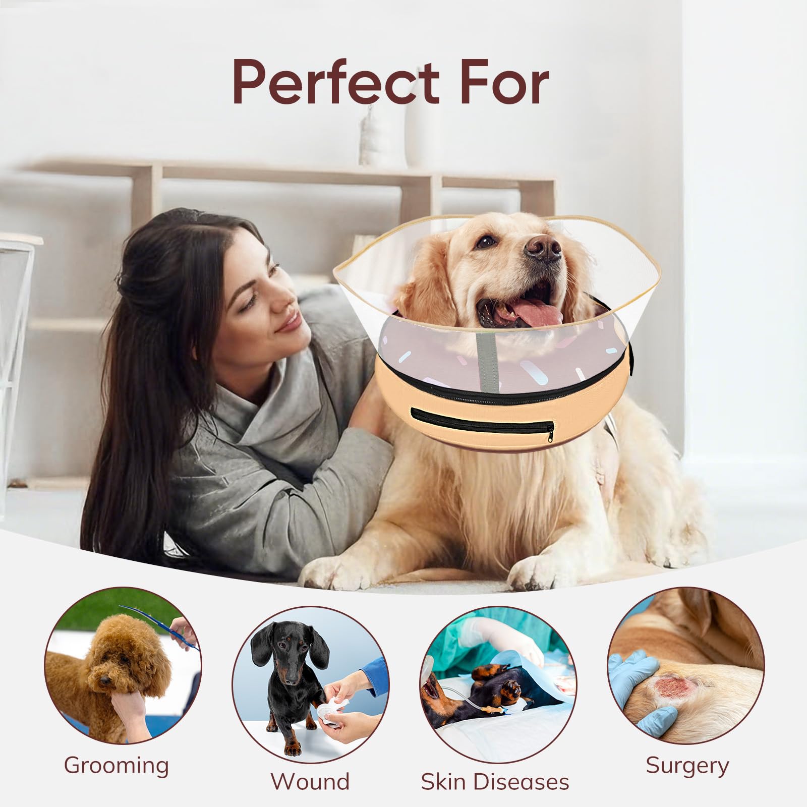 Supet dog cone during meals showing compatibility with eating and drinking