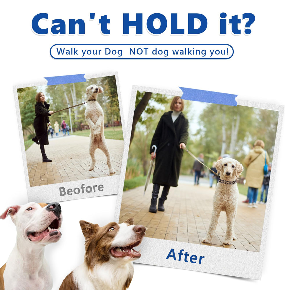 Supet 20-inch XL collar provides secure fit for larger breeds.
