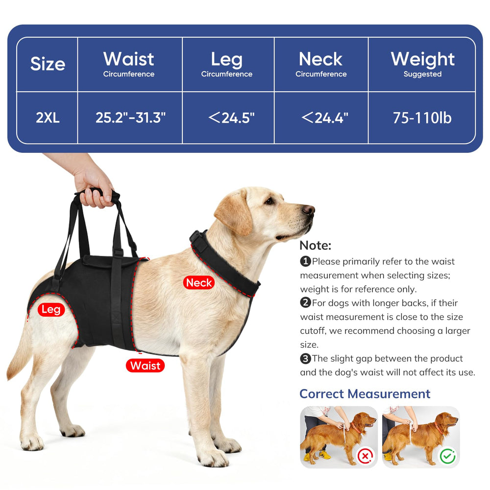 Supet sling adjustable straps allow easy fitting across sizes.