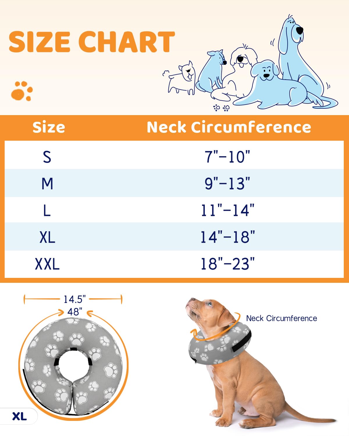 Supet dog wearing the cone in the yard shows unobstructed vision and mobility
