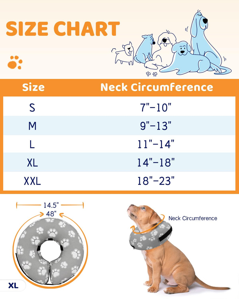 Supet dog wearing the cone in the yard shows unobstructed vision and mobility