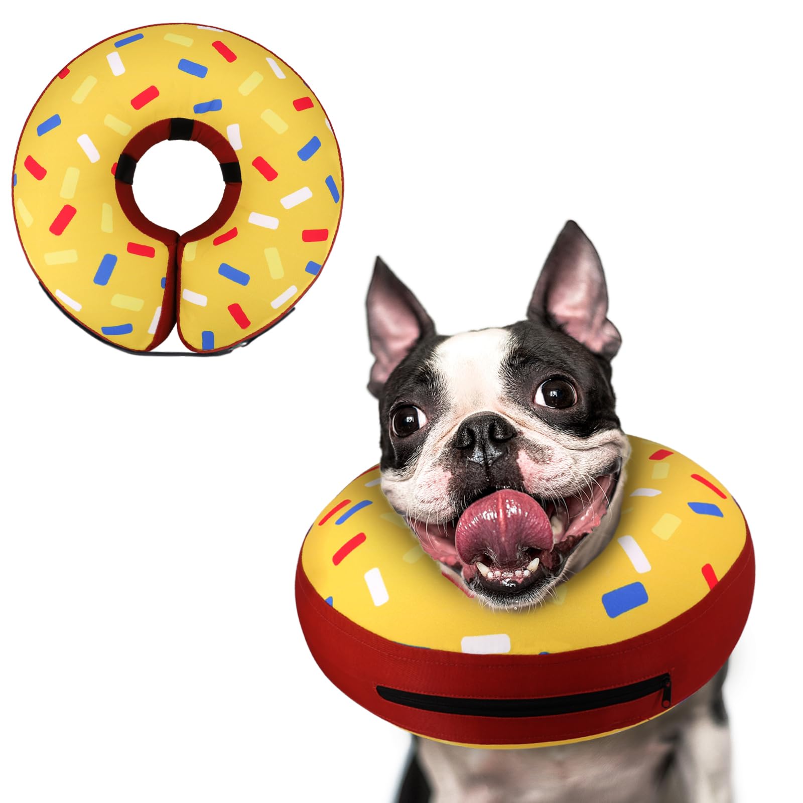 Supet inflatable dog cone collar on a calm dog for post-surgery protection.