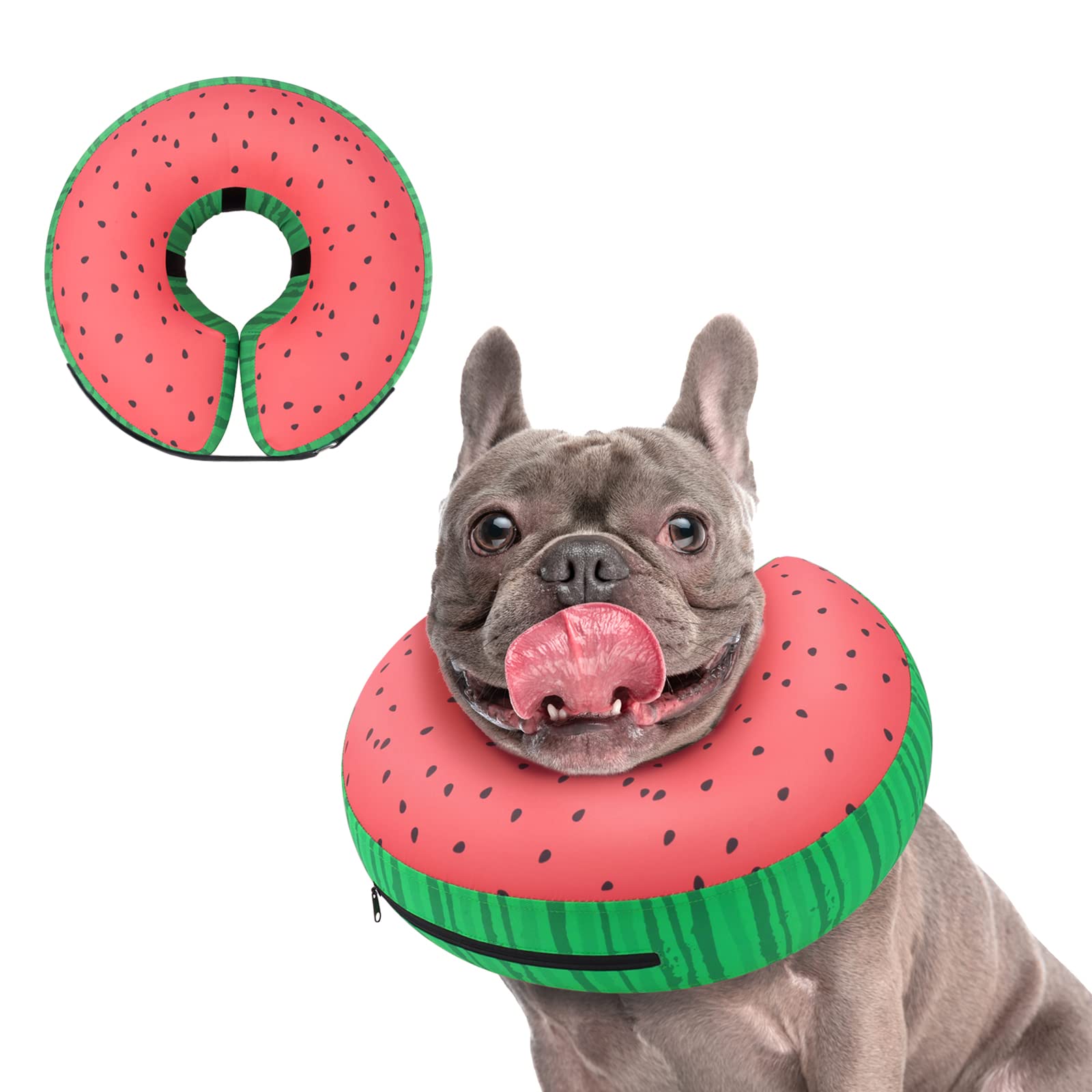 Supet inflatable dog cone on neck shows gentle recovery support.