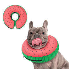 Supet inflatable dog donut collar protecting a surgical site with a friendly look.