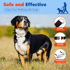 Supet prong collar in action during dog training sessions.