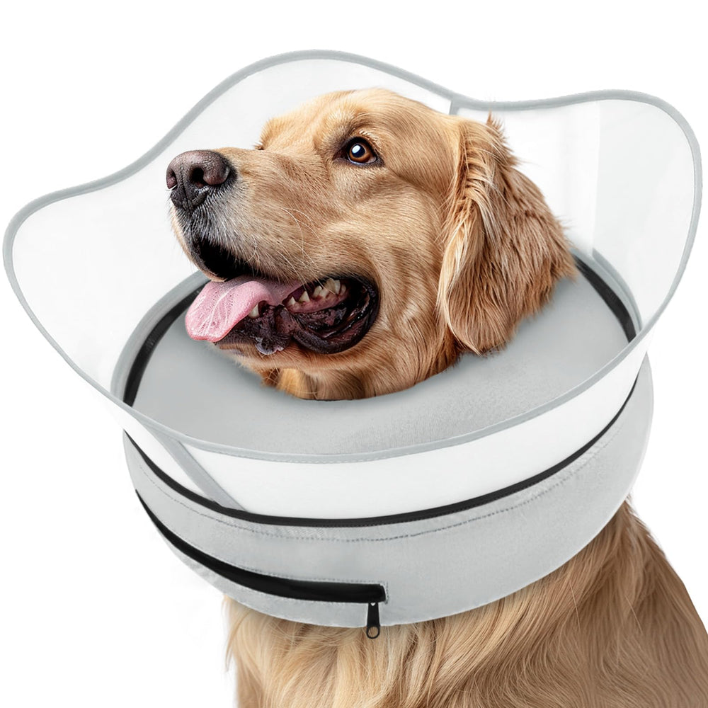 Supet raised inflatable dog cone collar in donut style protects injured areas.